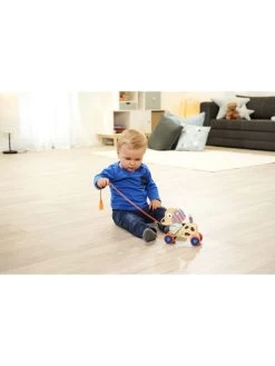 Eichhorn Trekdier "Hond" - Vanaf 12 Maanden -Babyproduct winkel eichhorn trekdier hond vanaf 12 maanden 4