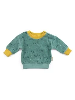 Moulin Roty Sweatshirt "Gaetan" Groen/geel