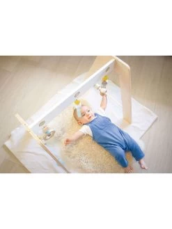 Pinolino Babygym "Josi" - Vanaf 3 Maanden -Babyproduct winkel pinolino babygym josi vanaf 3 maanden 4